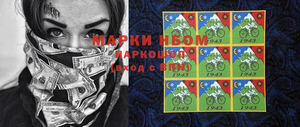 прущие грибы Зеленокумск