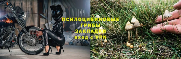 мескалин Белокуриха