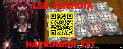 кокс Нарткала