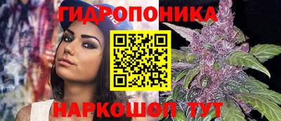 стаф Нальчик