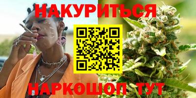 стаф Нальчик