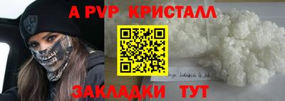 стаф Нальчик