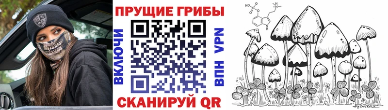 Псилоцибиновые грибы MAGIC MUSHROOMS  Маркс 