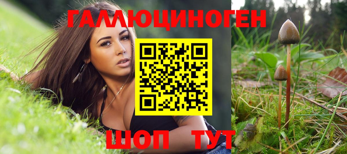Маркс  Псилоцибиновые грибы Magic Shrooms  Вход с VPN 